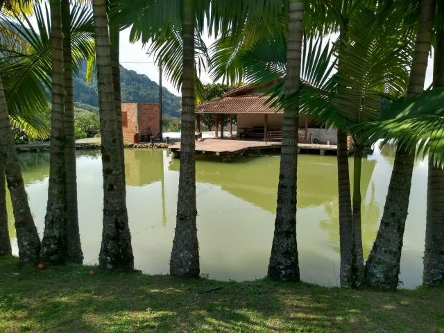 Sítio tifa bom Jesus reflorestamento - Foto 6