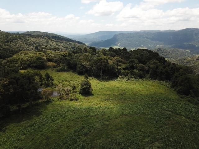 Sítio em Urubici - Foto 10
