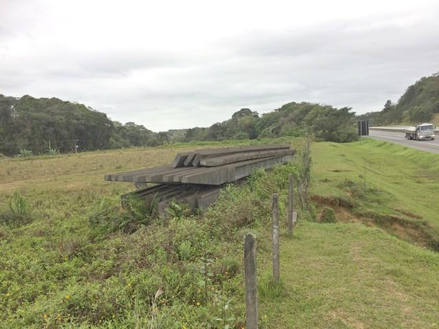 Terreno para alugar com 0 dormitórios em Floresta, Joinville cod:02517.002 - Foto 6