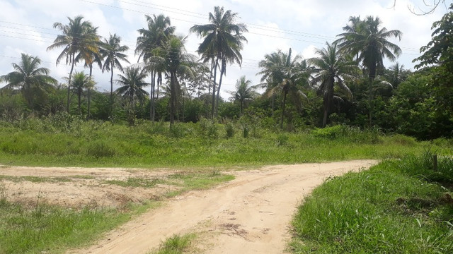 Ótimo terreno no cond. Privê Vila Velha, aceito propostas - Foto 12