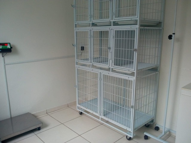 Clinica Veterinária Valinhos Completa + Carteira Clientes- Excelente Ponto Comercial - Foto 4