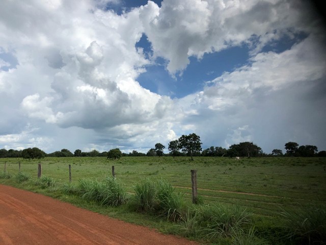 Fazenda  970 alqueires toda formada - Foto 5