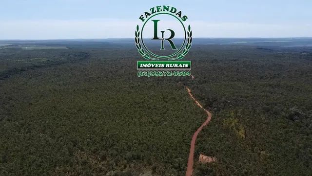 Fazenda 210 Alqueires  Agricultável Proximo Palmas - Foto 3