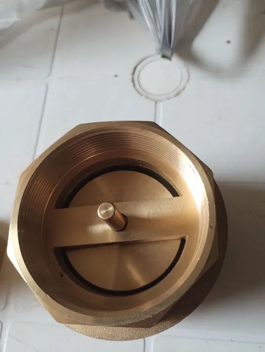 Valvula de retenção sfera vertical 2 1/2 DN65 - Foto 3