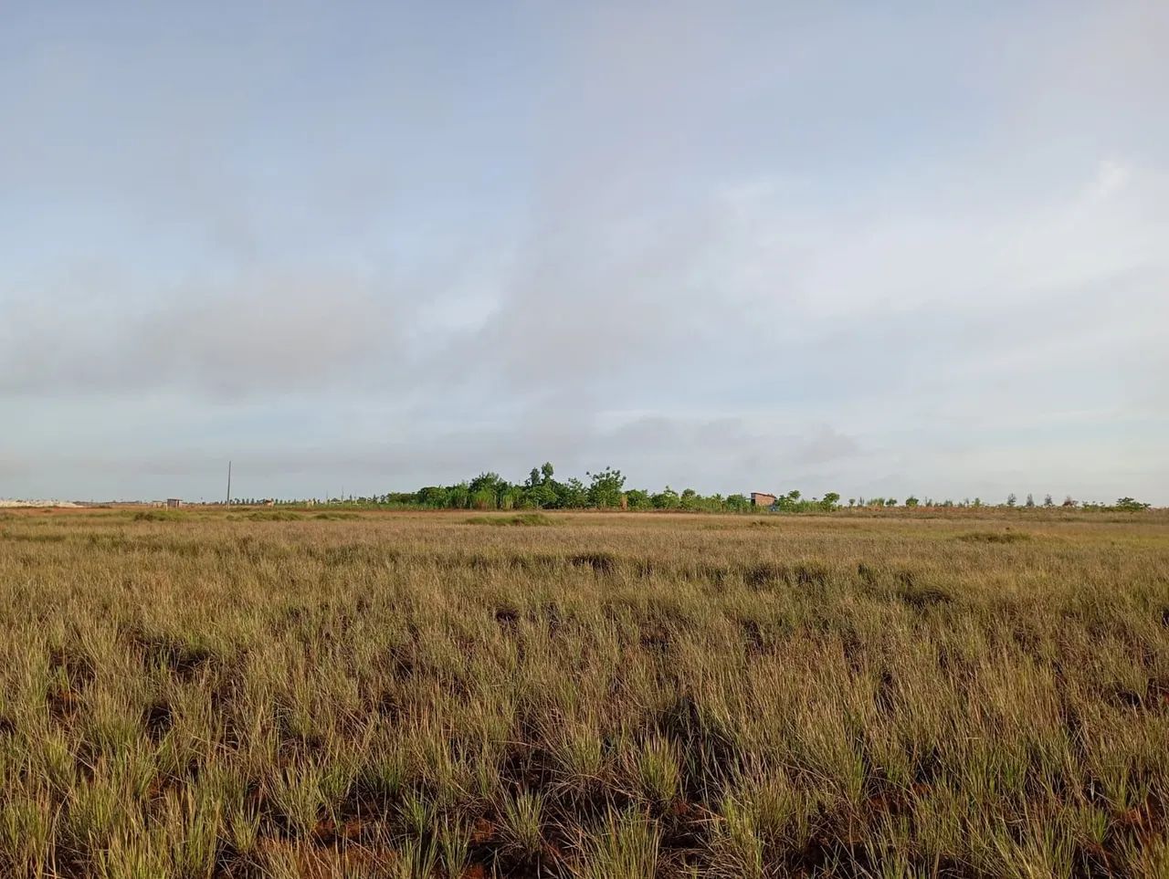 foto - Boa Vista - Caranã