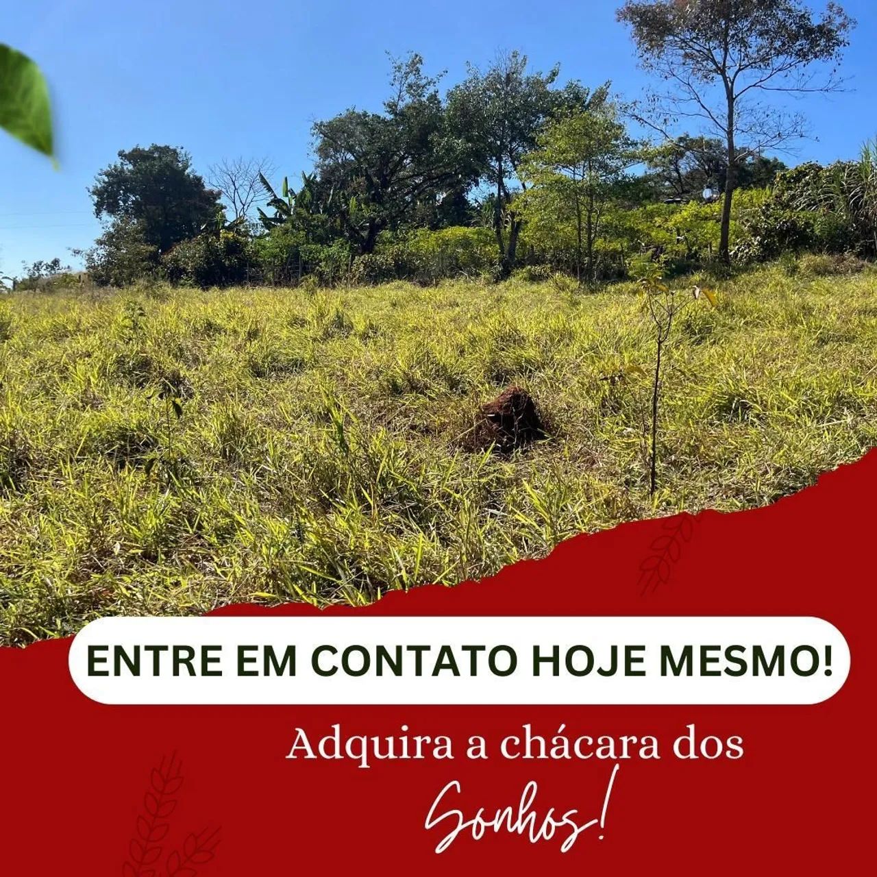 Chacaras no sítio novo mateus leme  - Foto 3