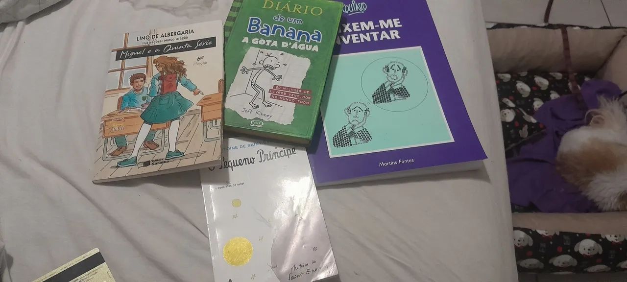 Livros Diário de um Banana, Pequeno Príncipe, Miguel e a Quinta Série