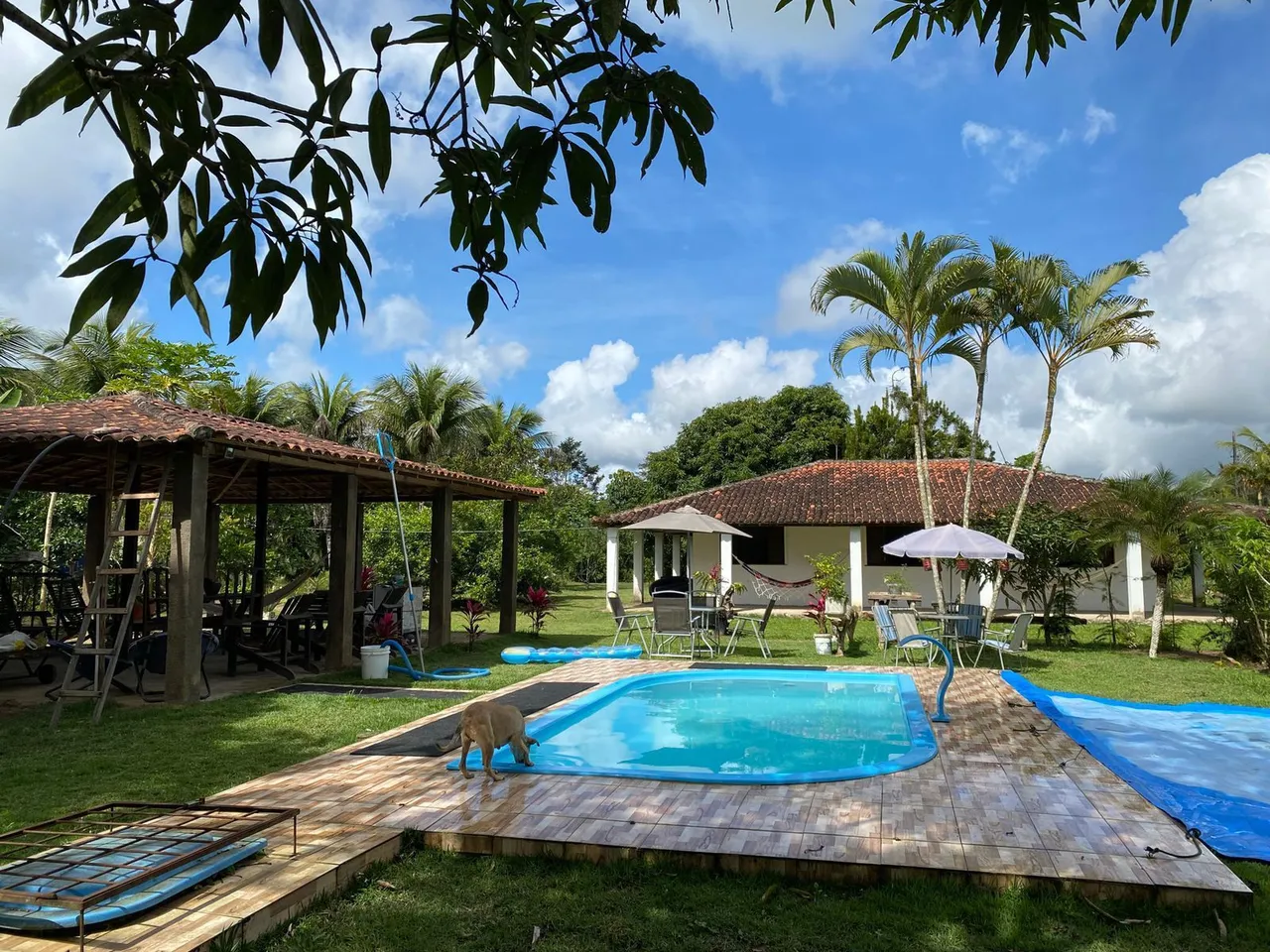 Vende - se Sítio com piscina e área externa para lazer e Casa!