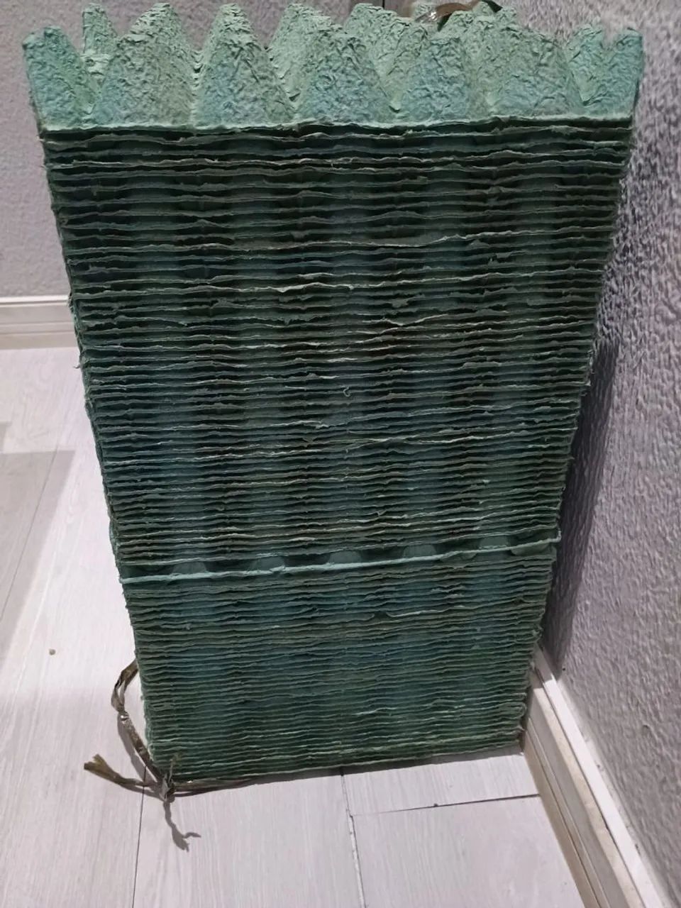 Kit de 100 cartelas vazias para trinta ovos de galinha 