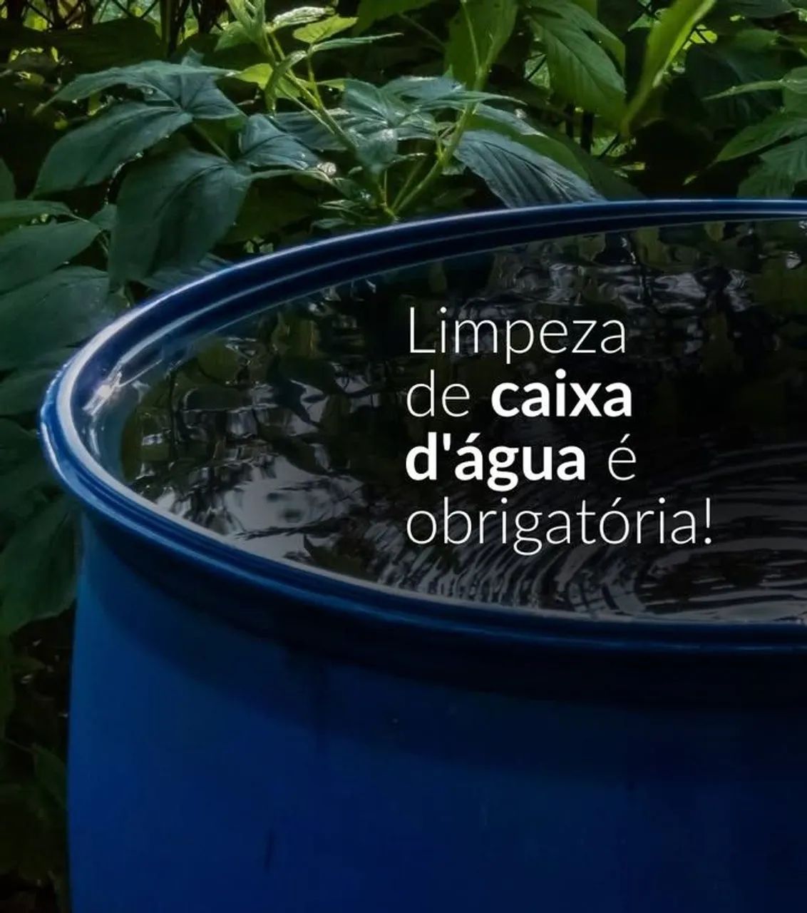 Dedertizacao geral - Foto 5