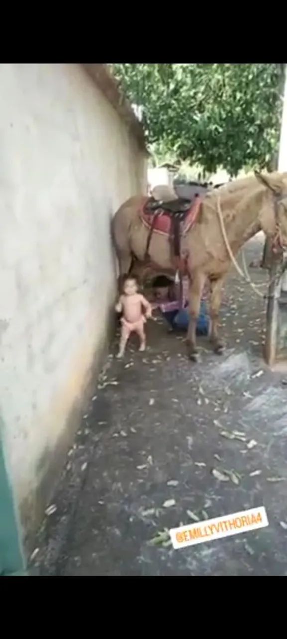 Domador de cavalo  - Foto 3