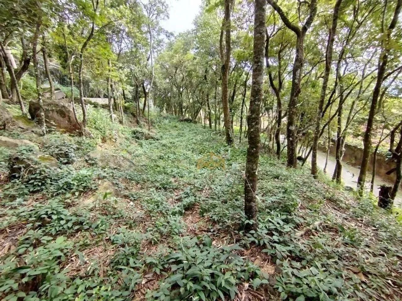 Terreno à venda, 1925 m² - Condomínio Nova Suiça - Valinhos/SP - Foto 5