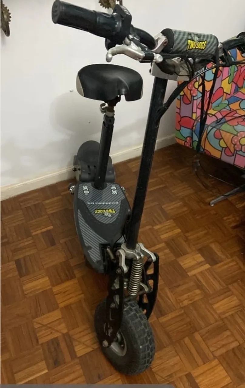 Patinete Elétrico TWO DOGS 800 W