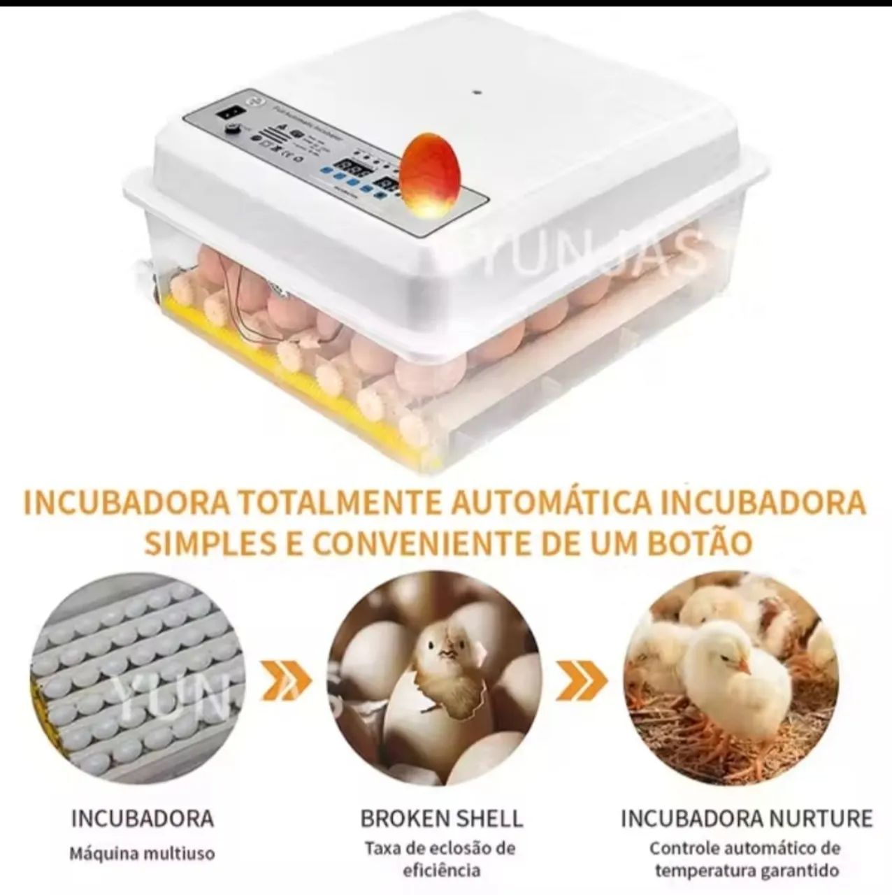 Incubadora de ovos- chocadeira  - Foto 2