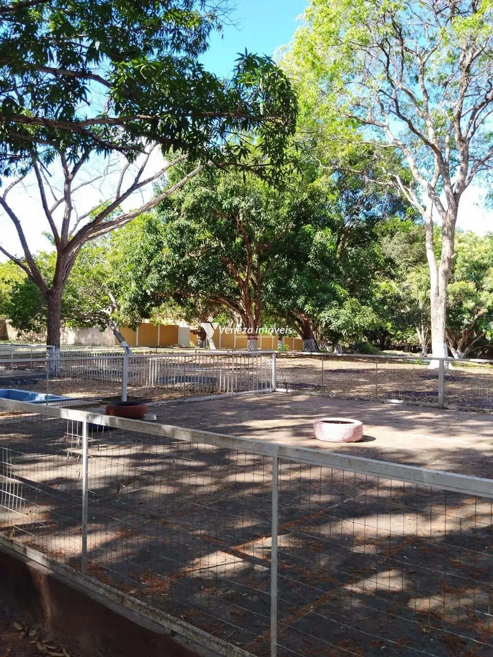 TERRENO COM 5 HECTARES PARA VENDA BAIRRO VALE QUEM TEM.