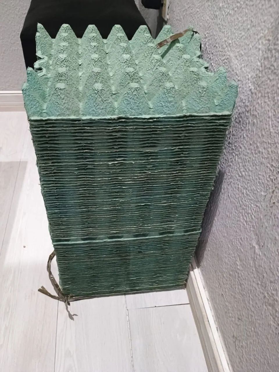 Kit de 100 cartelas vazias para trinta ovos de galinha  - Foto 2