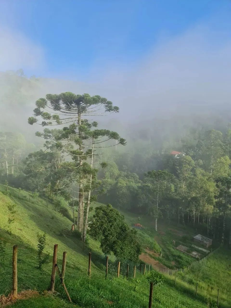 Estilosa casa à venda em Visconde de Mauá, parte alta, vista Pedra Selada, 02 qtos, fino a - Foto 2