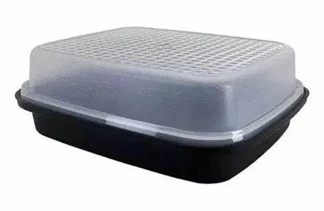 Tupperware Caixa Bom Sabor 2,25 L Marinar