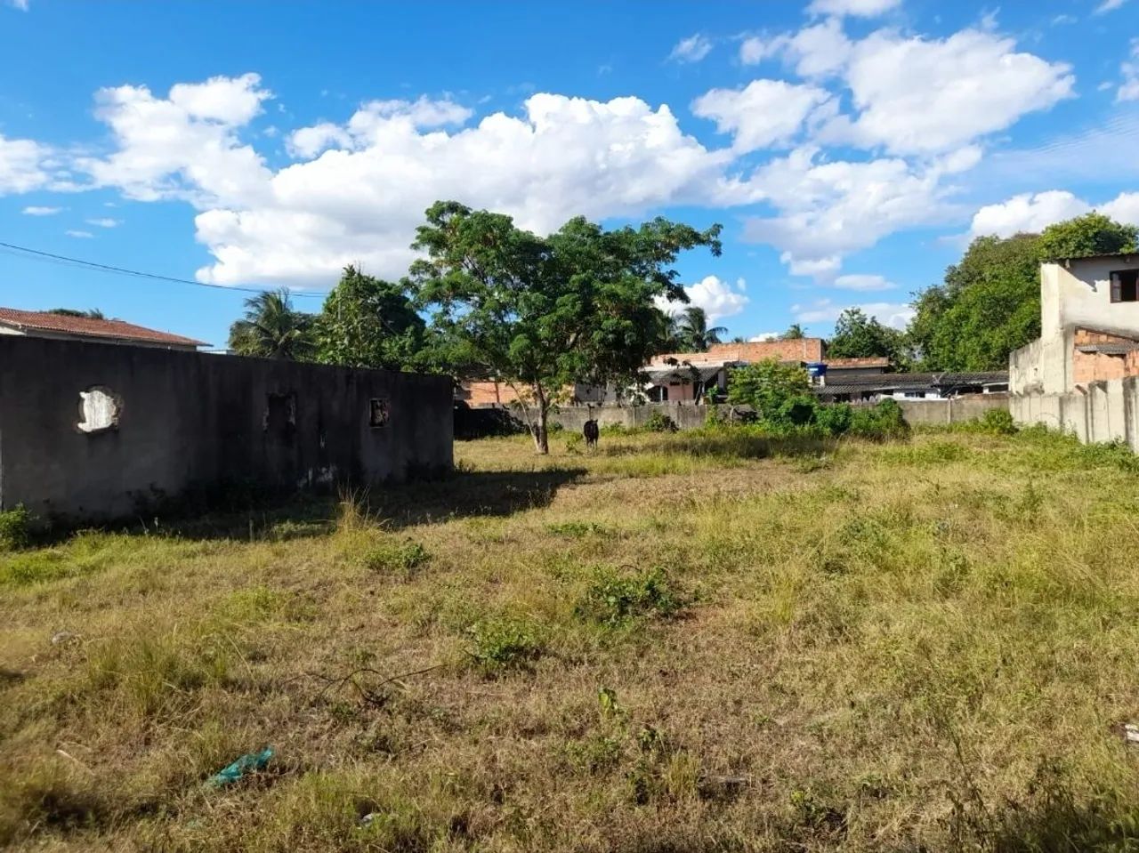 Vendo excelente área próxima a avenida principal!