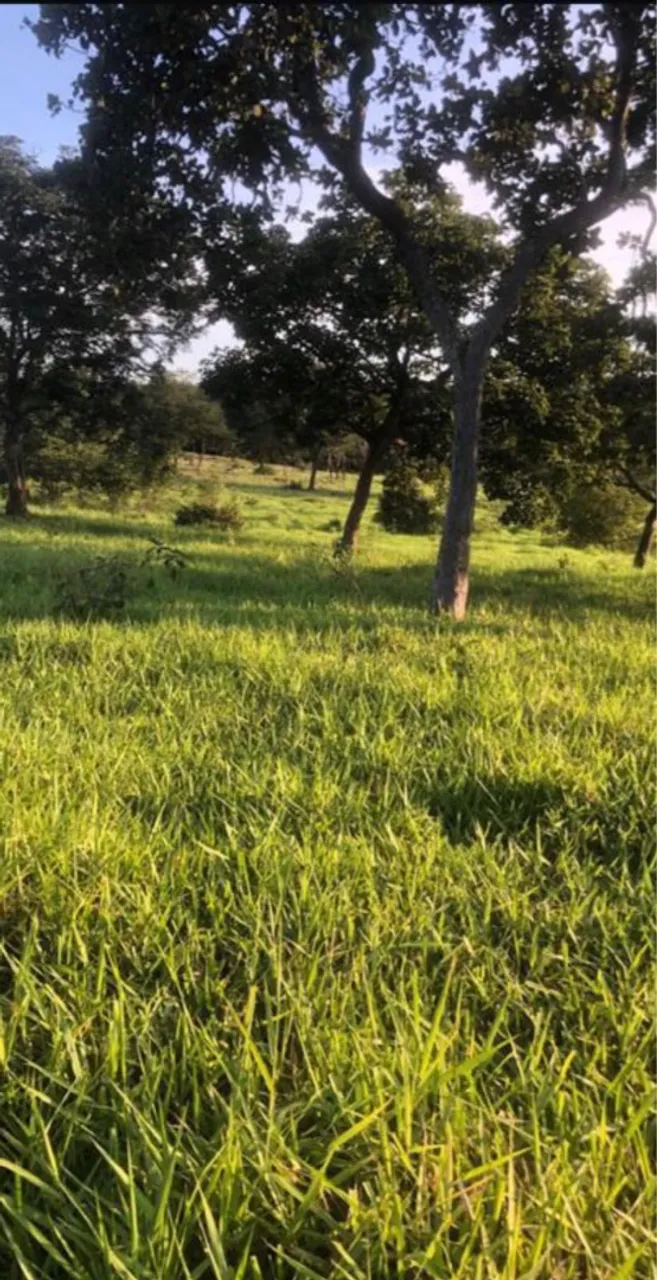 CHÁCARA BELA VISTA DE GOIÁS