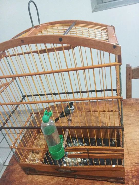 Para vender ligeiro aí bom de verdade