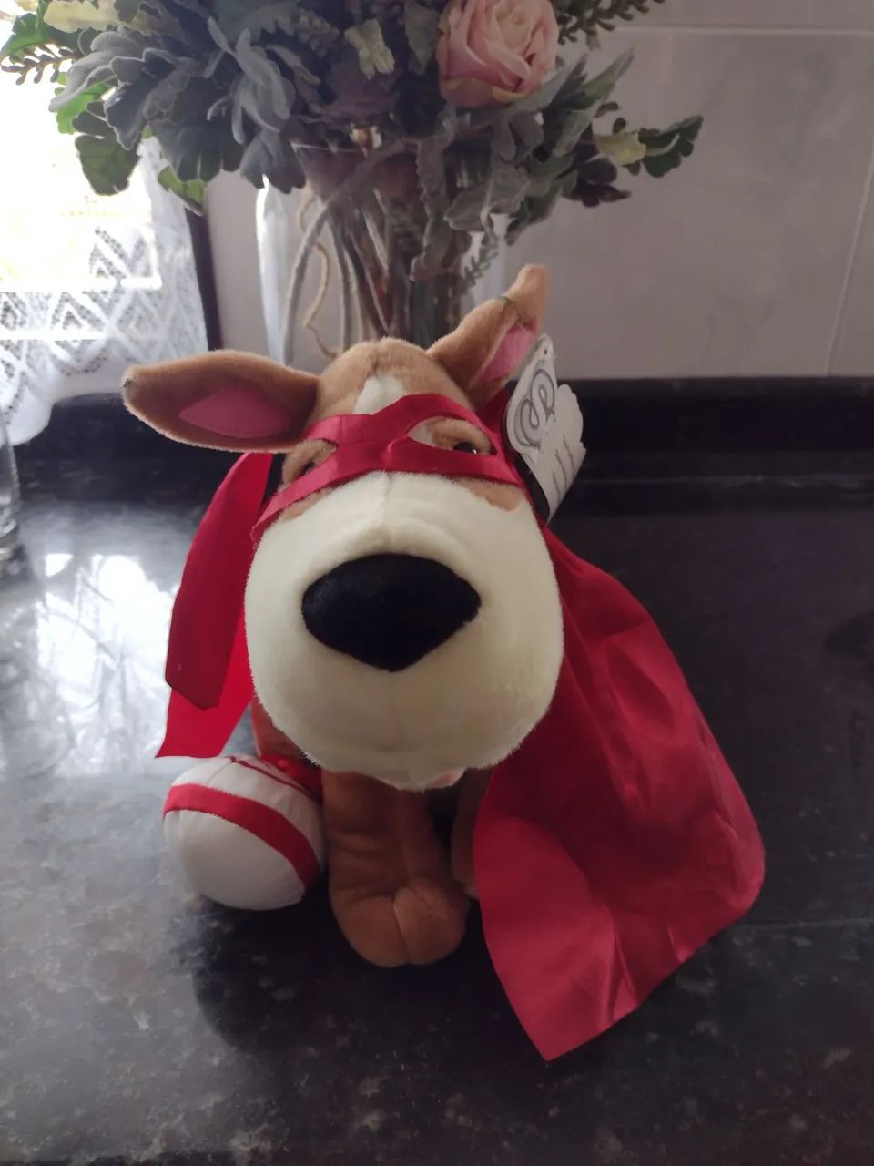 Cão spock super dog 