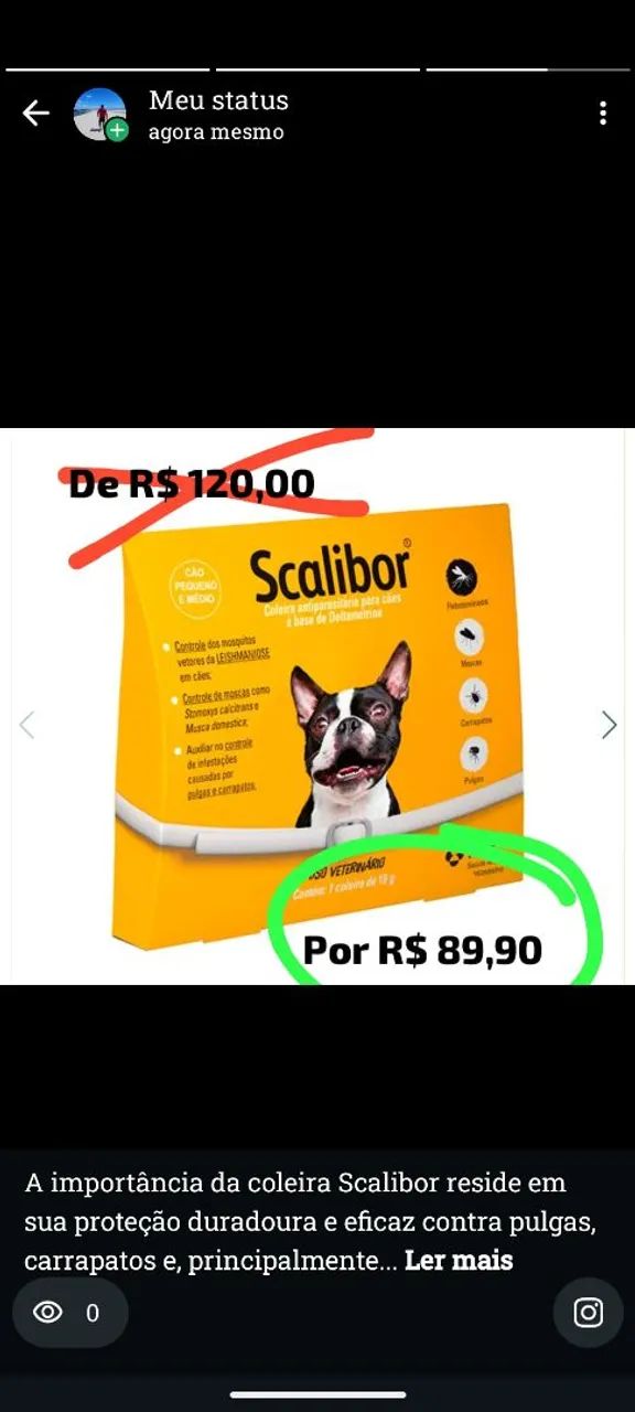 Coleira scalibo 64860947475075120