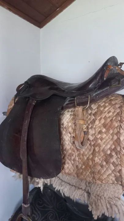 Eguas quarto de milha e manga larga *) - Foto 5