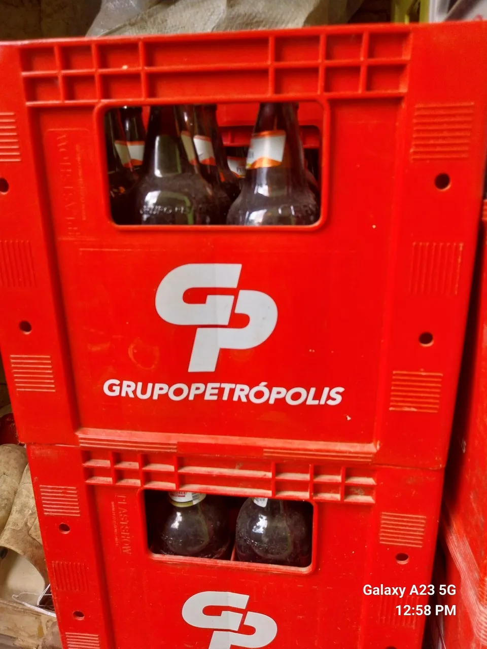 Caixas de transporte para garrafas Grupo Petrópolis