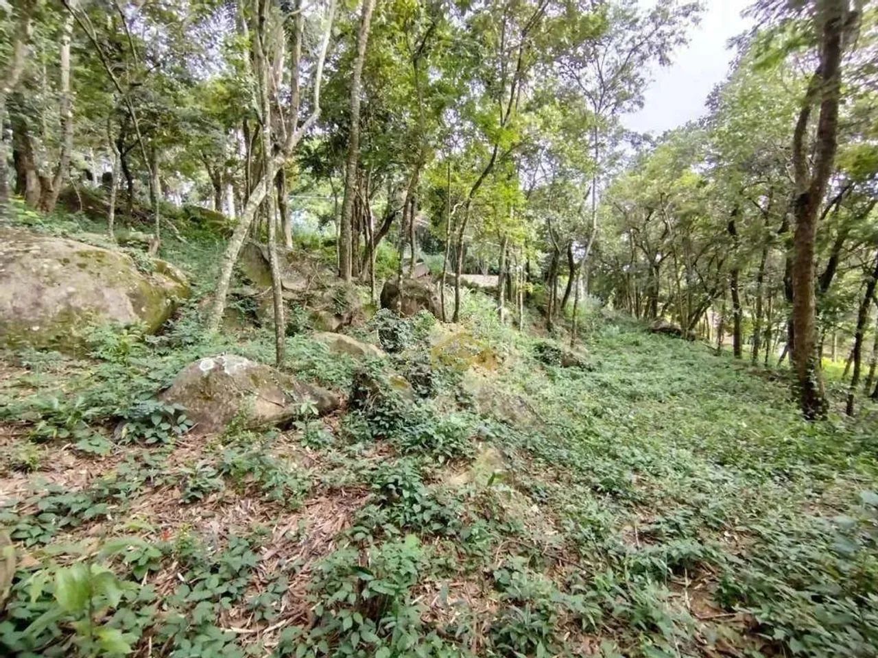 Terreno à venda, 1925 m² - Condomínio Nova Suiça - Valinhos/SP - Foto 4