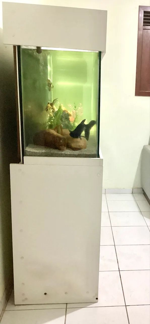 Oportunidade Vendo Lindo Aquario completo com móvel  - Foto 4