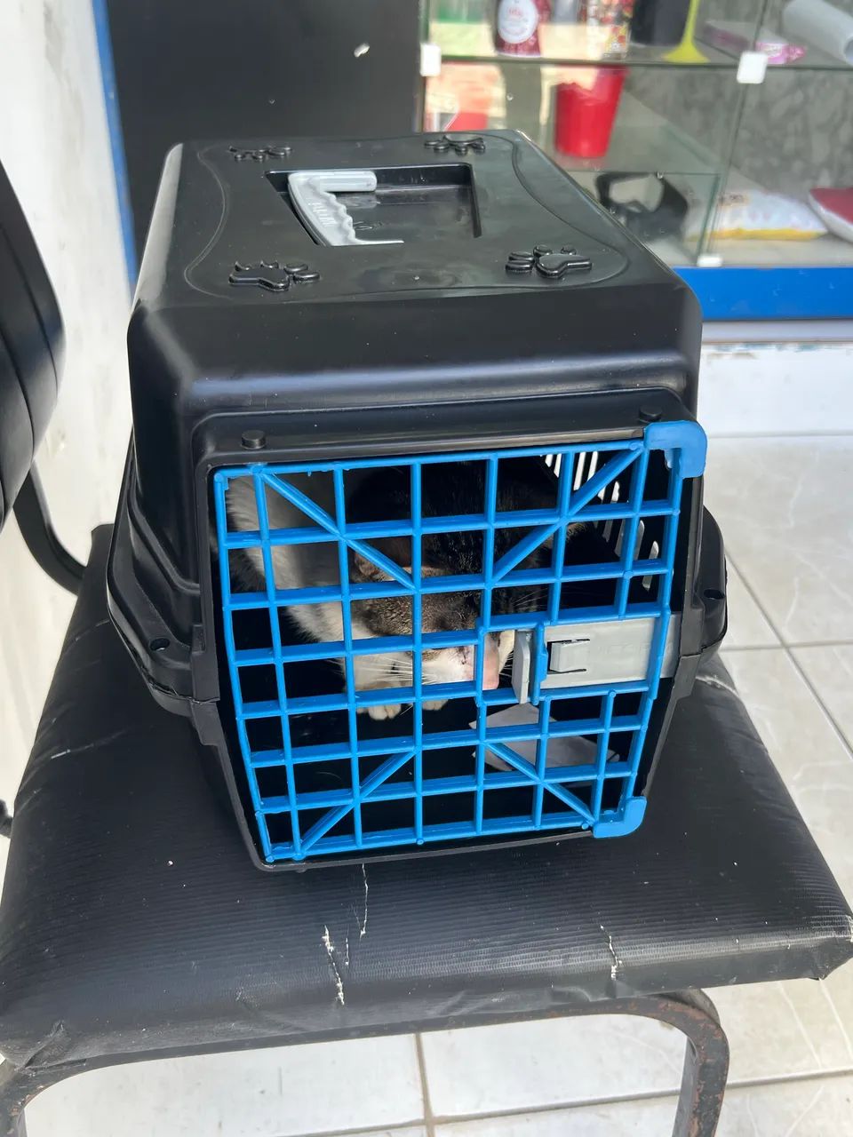 CAIXA DE TRANSPORTE  - Foto 2