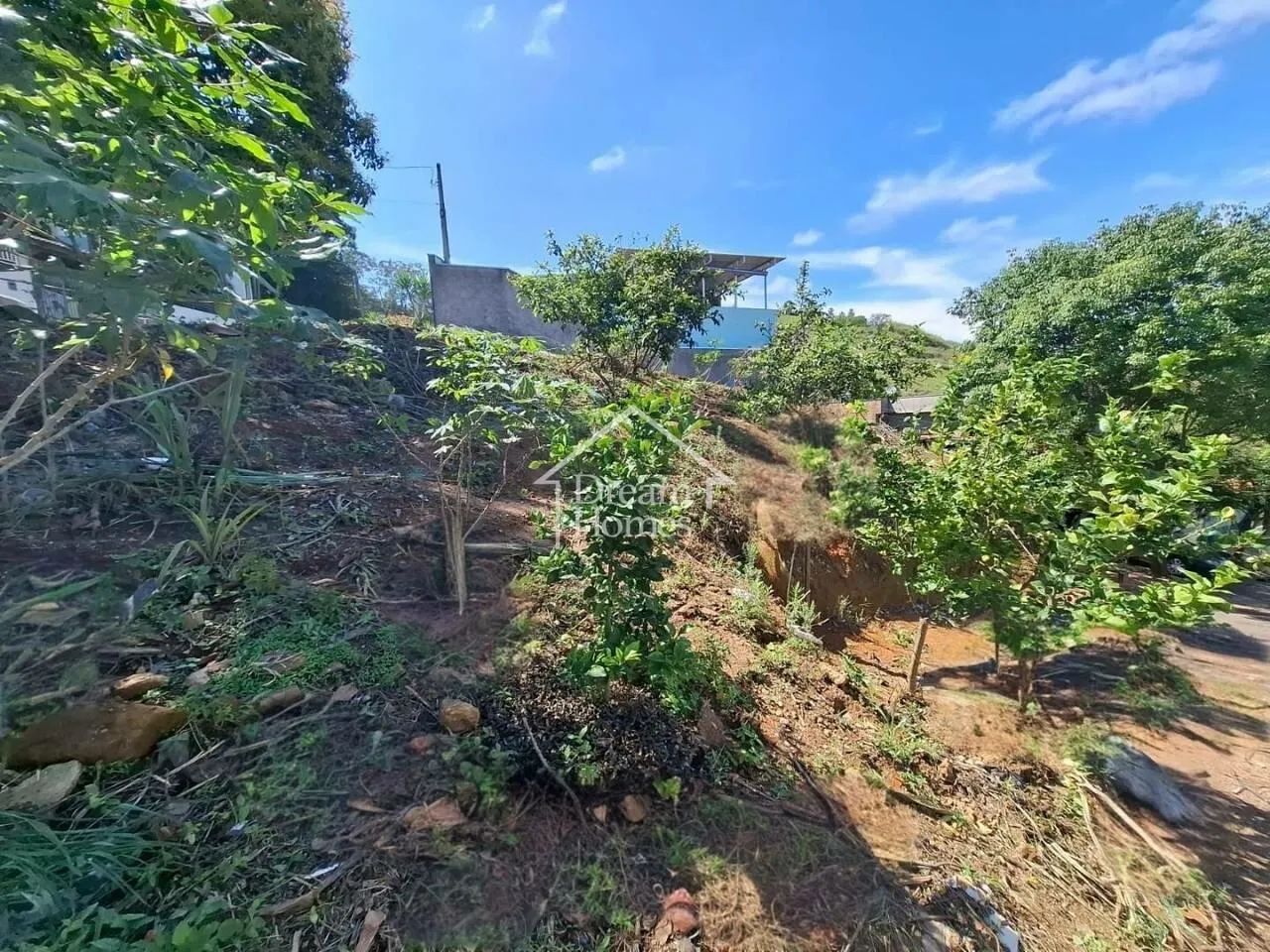 Terreno à venda - Bosque - Vinhedo/SP - Foto 3