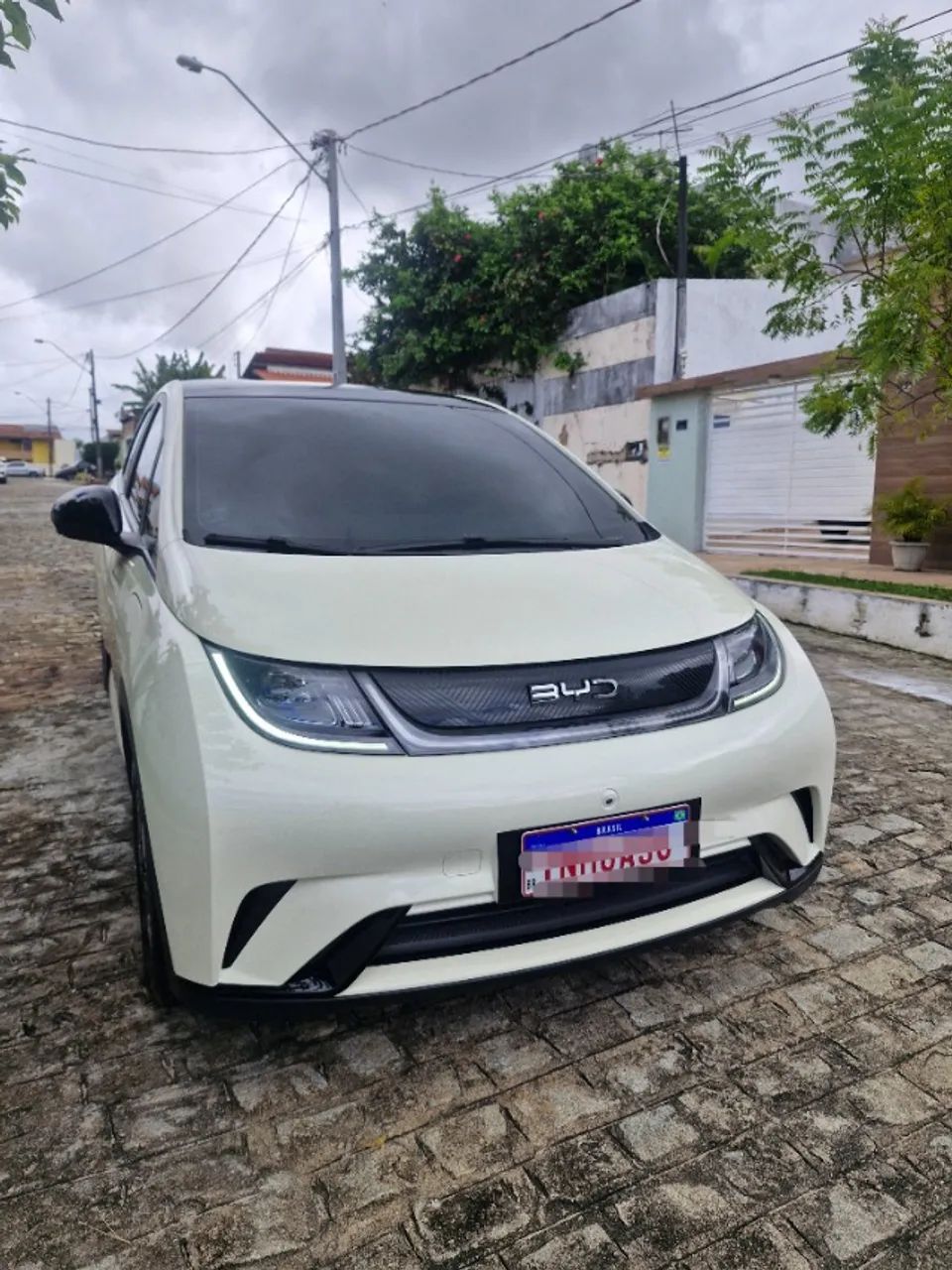 BYD Dolphin EV (Elétrico) 2025 - Foto 2