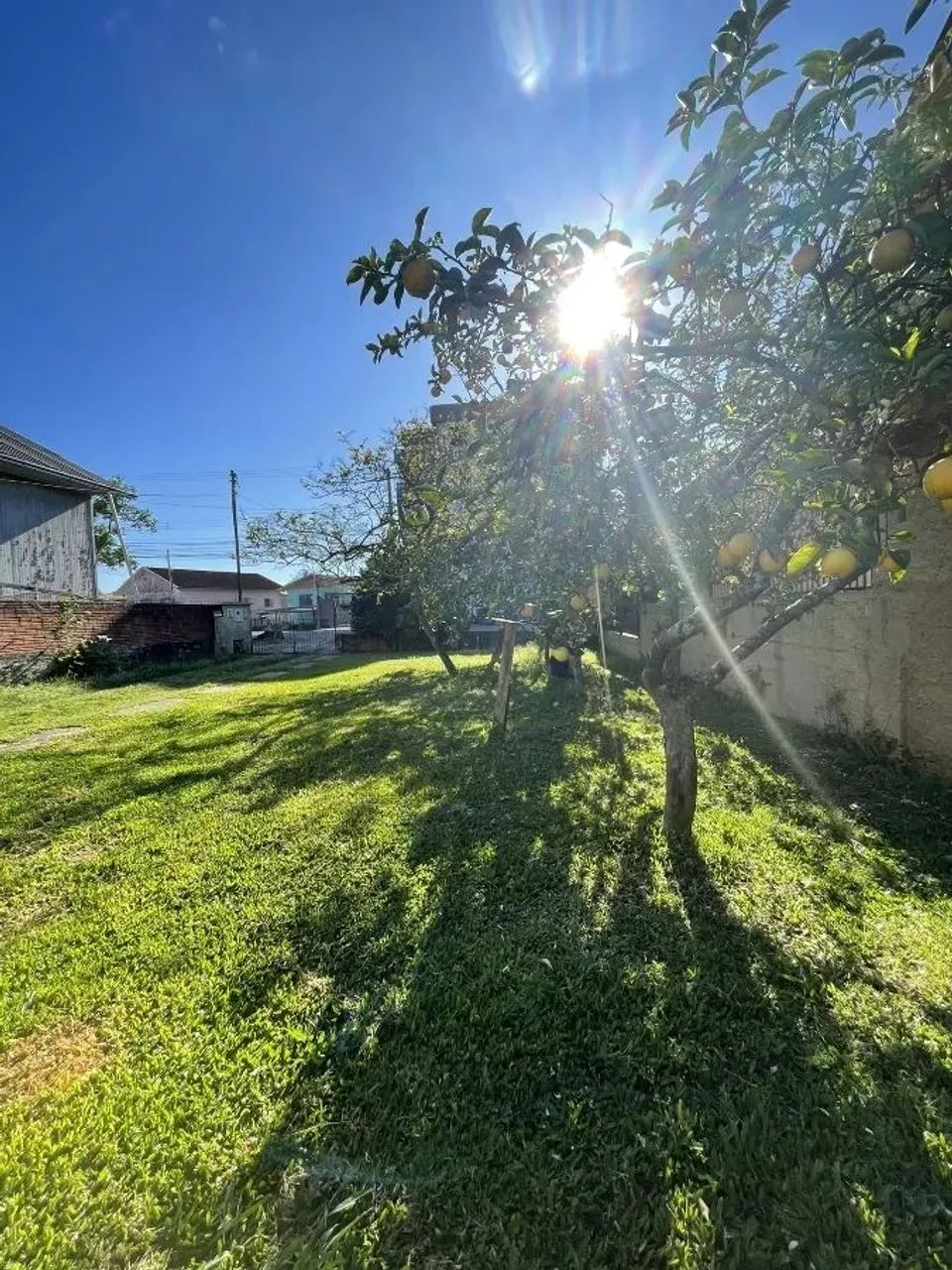 CAXIAS DO SUL - Terreno Padrão - CRUZEIRO - Foto 5