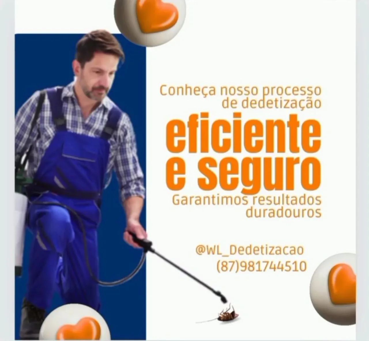 SERVIÇO DE DEDETIZAÇAO  - Foto 2