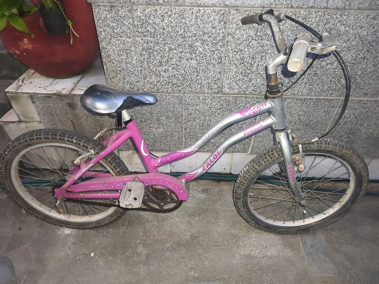 Bicicleta infantil 