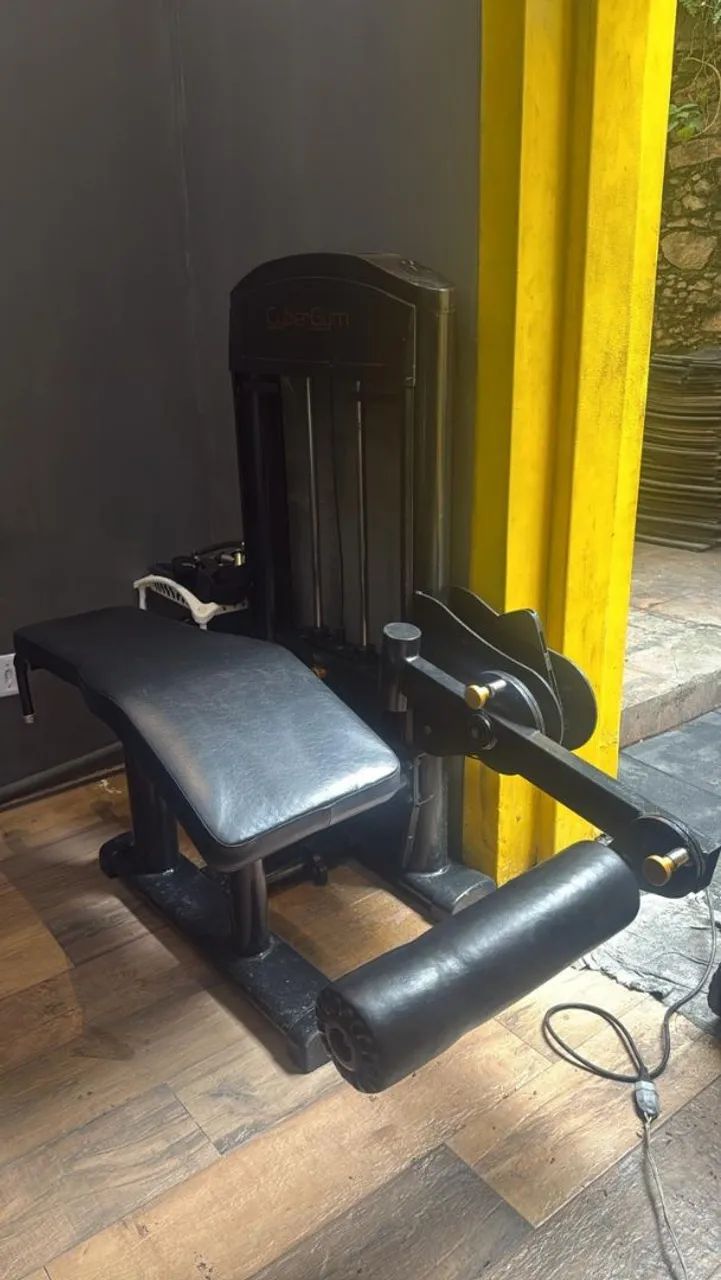 Mesa flexora