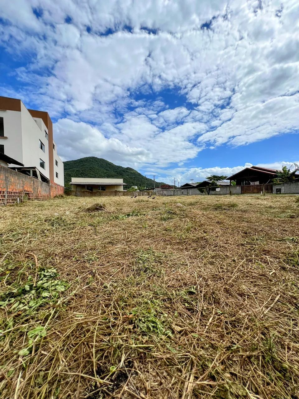 Terrenos no Ribeirão da ilha 260 mil - Foto 2