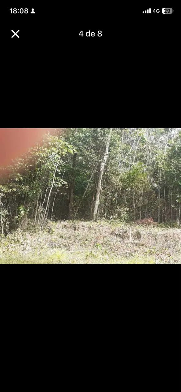 Terreno com Igarapé no outeiro  - Foto 2