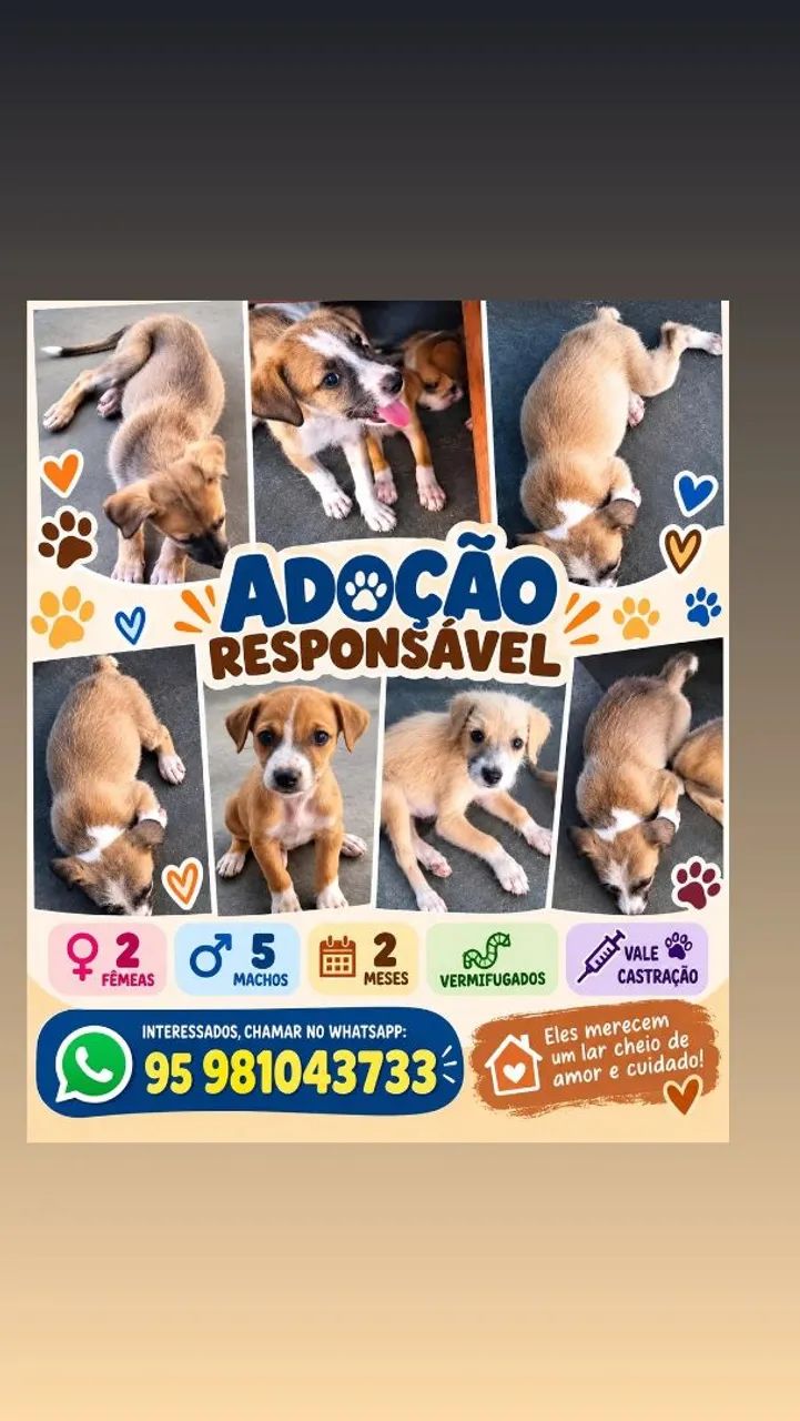 Adoção Responsável 