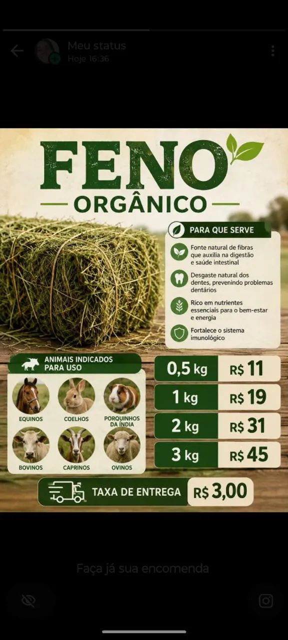 Feno - Foto 2
