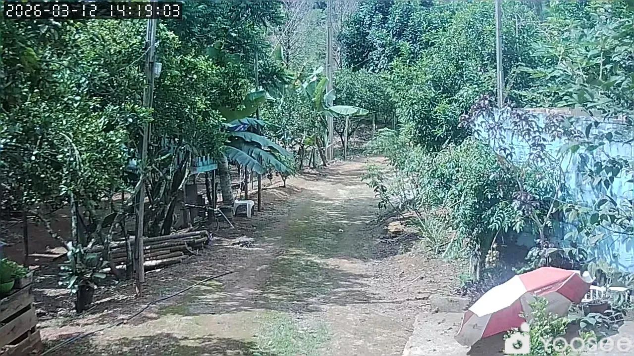 Foto - Cariacica - Bandeirantes