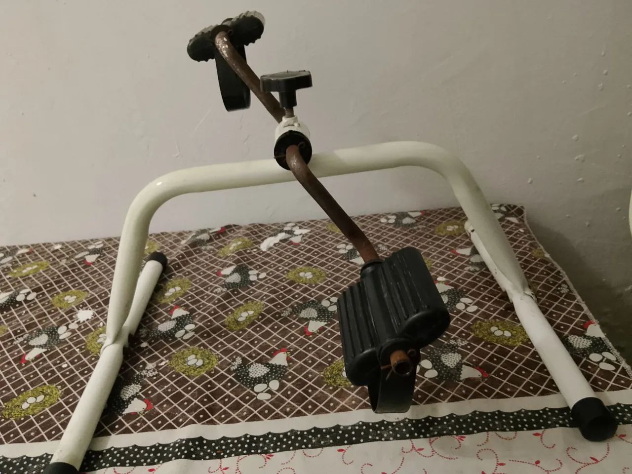 Fisioterapia