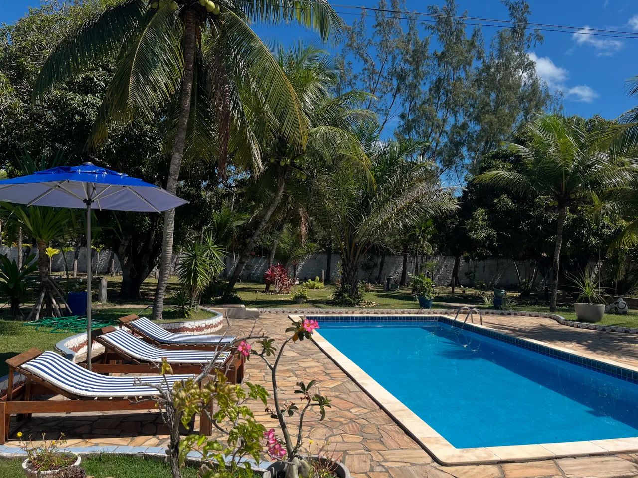 Chácara em Pium - Foto 3