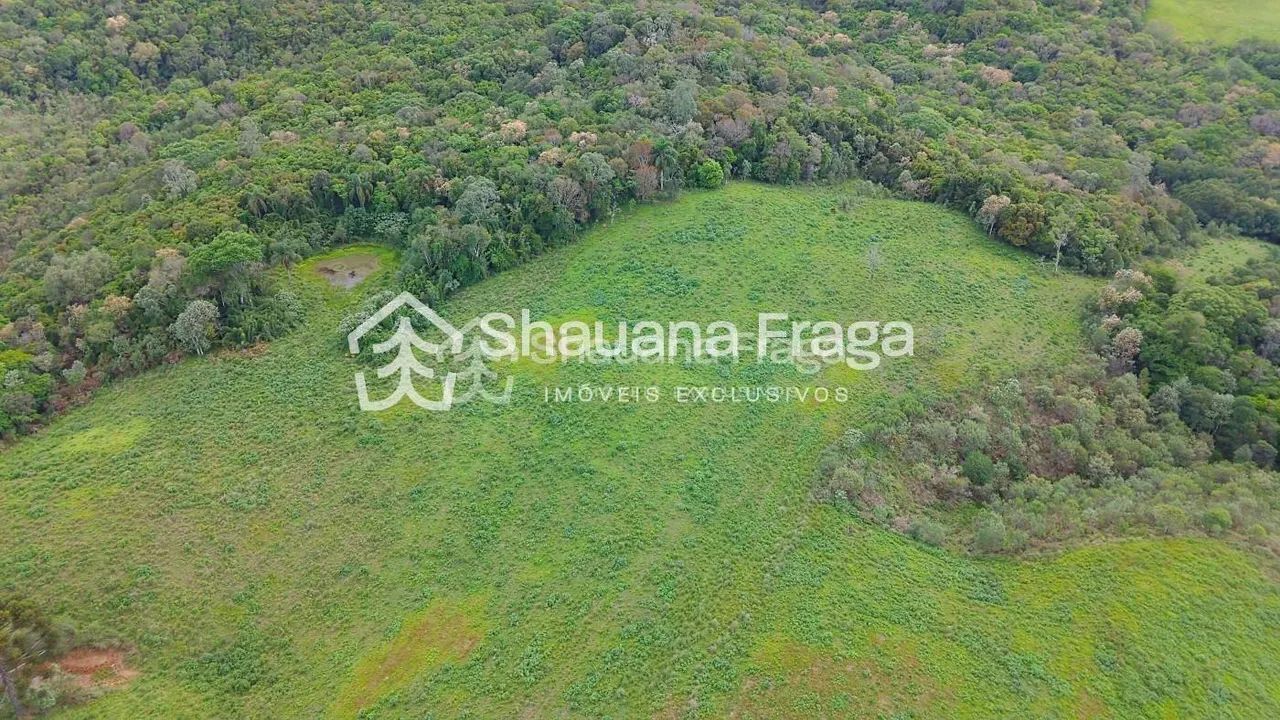 Terreno rural - Foto 4