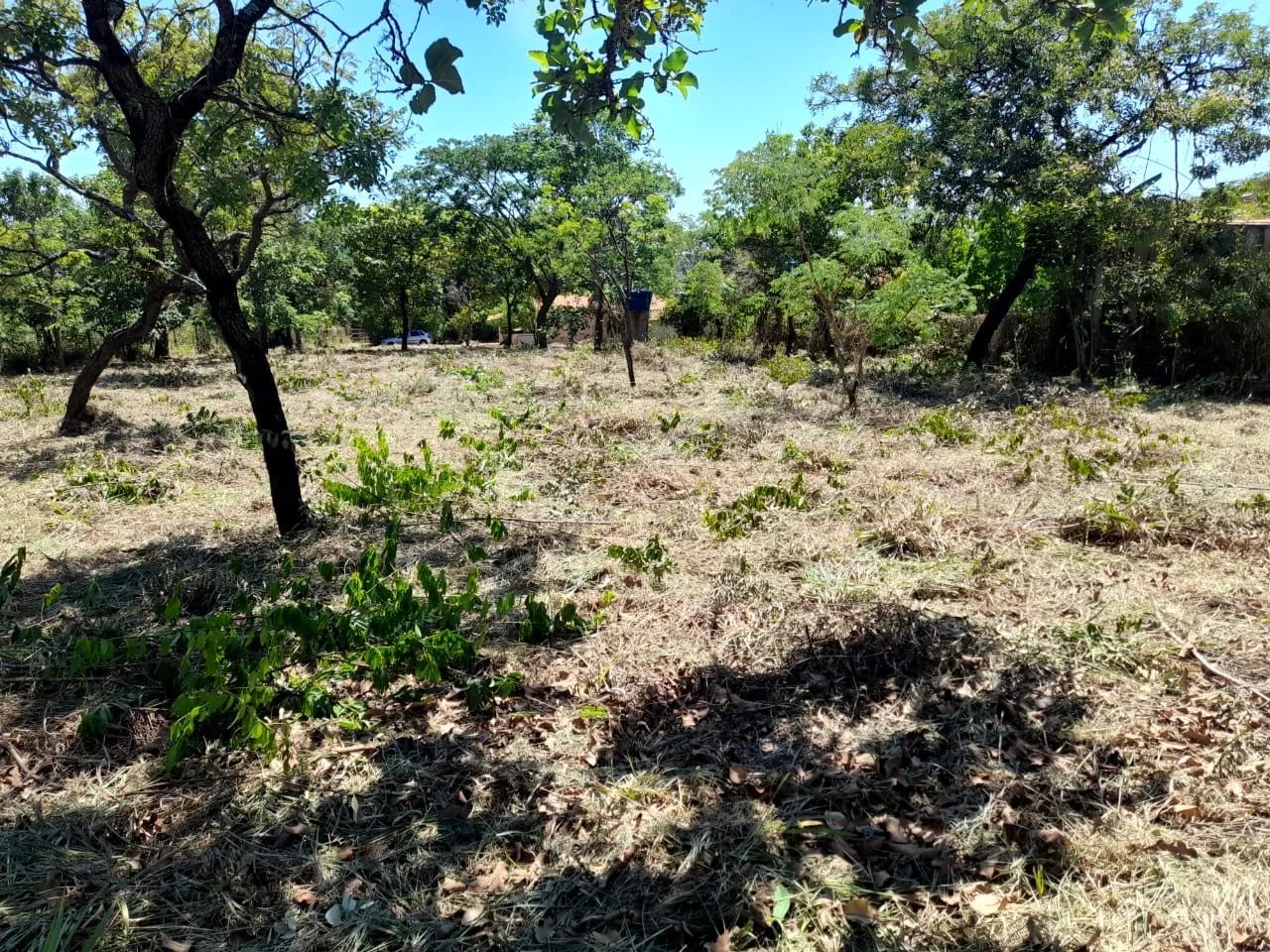 Chácara Juazeiro - Conceição do Pará MG - Foto 4