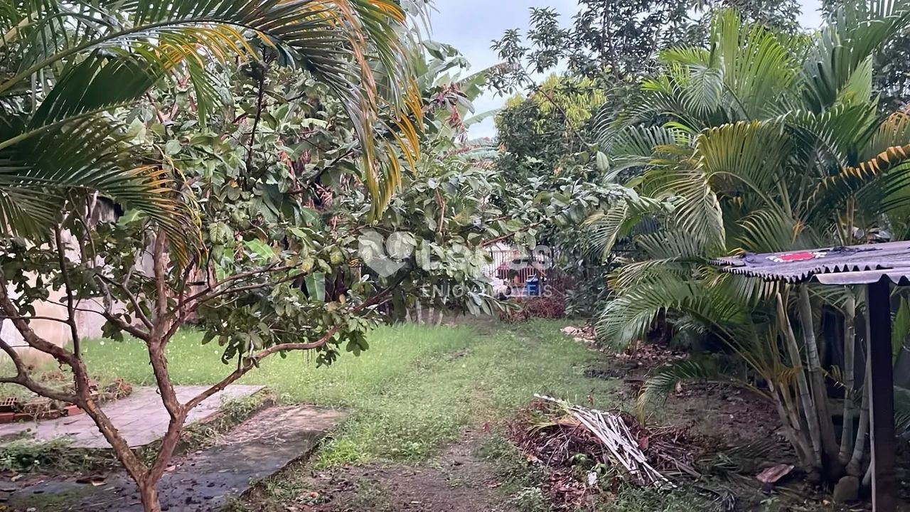 Terreno em Barrinha, Rio de Janeiro - Foto 2