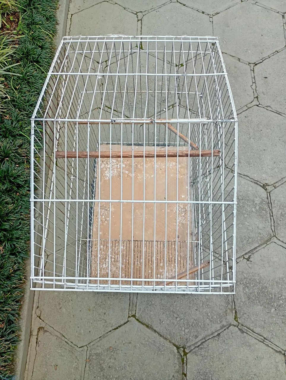 Gaiola grande  - Foto 2