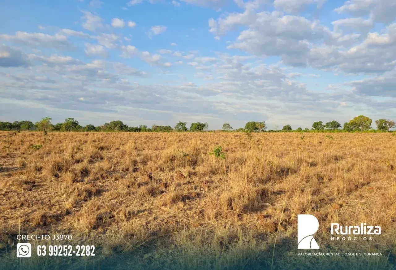 Fazenda em Pium - TO - Foto 4